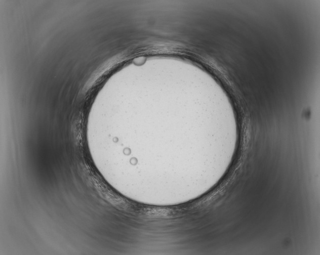 X0000115221211200912091213