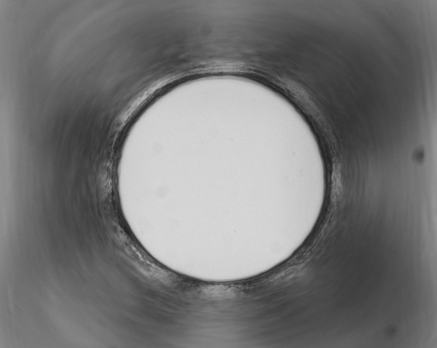 X0000115221212200912091213