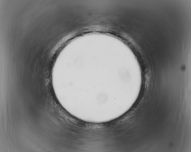 X0000115221213200912091213