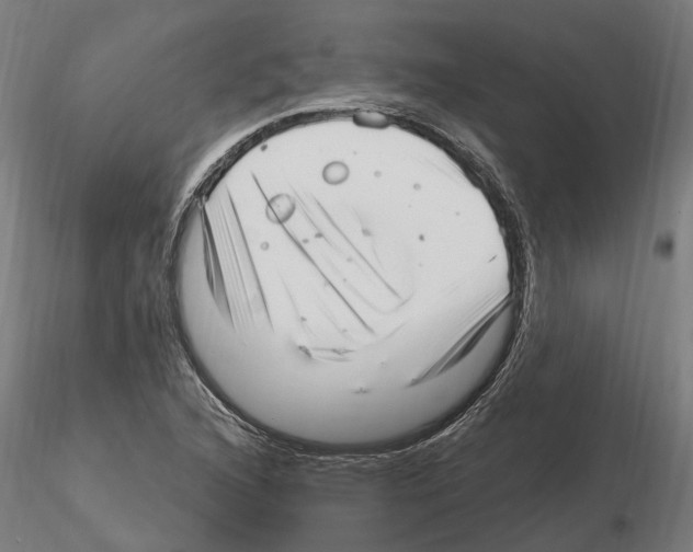 X0000115221216200912091213