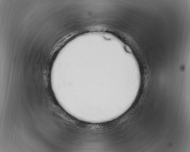 X0000115221217200912091213