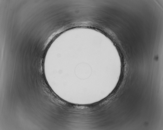 X0000115221218200912091213