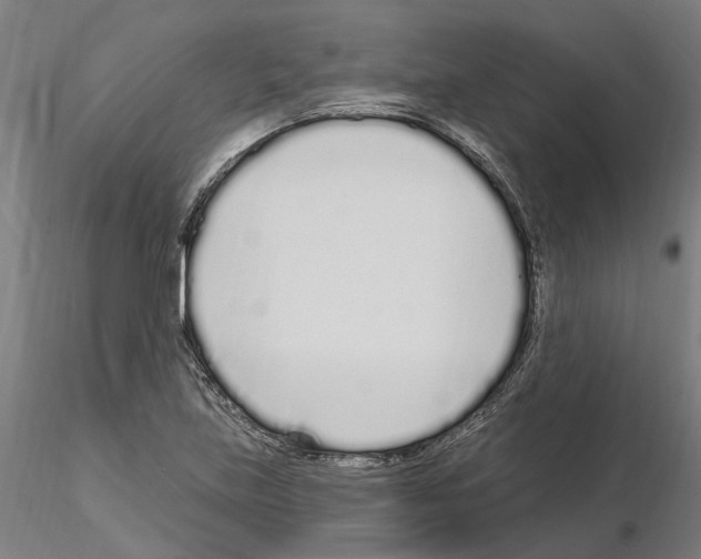 X0000115221219200912091213
