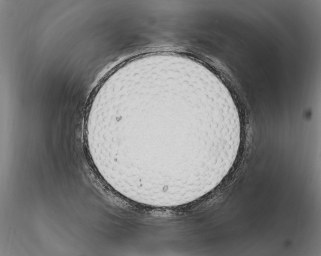 X0000115221220200912091213