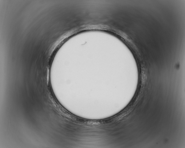 X0000115221221200912091213