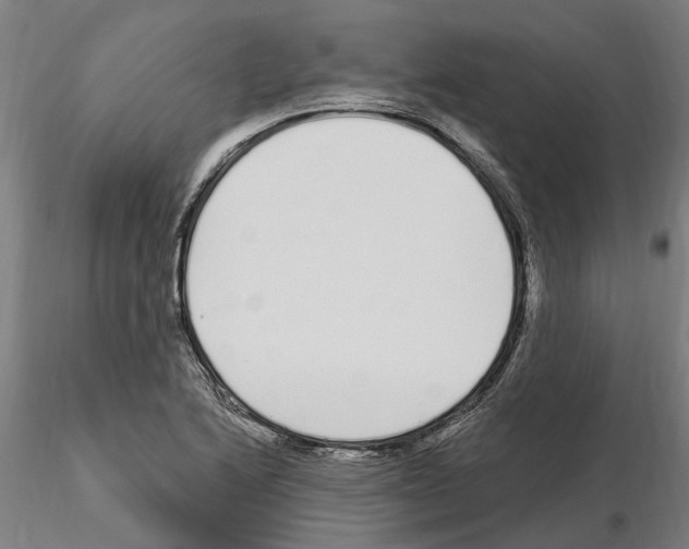 X0000115221222200912091213