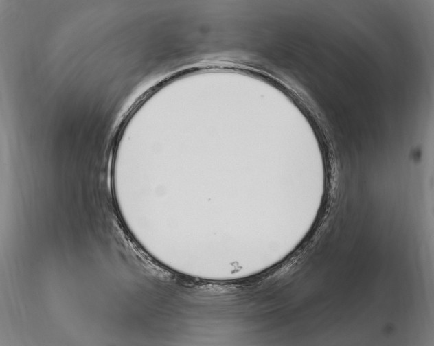 X0000115221224200912091213