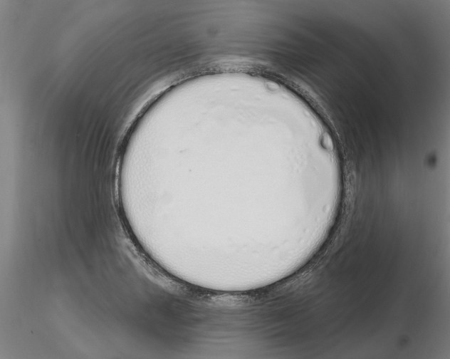 X0000115221227200912091213