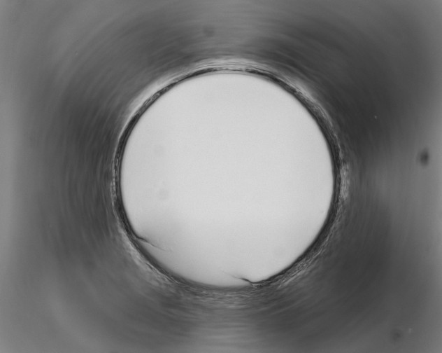 X0000115221229200912091213