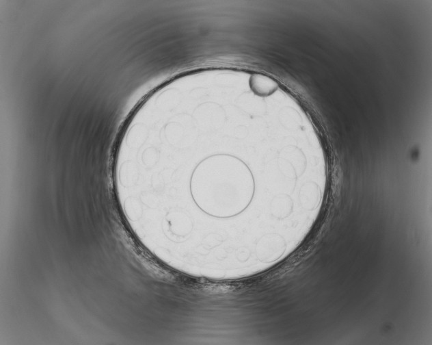 X0000115221230200912091213