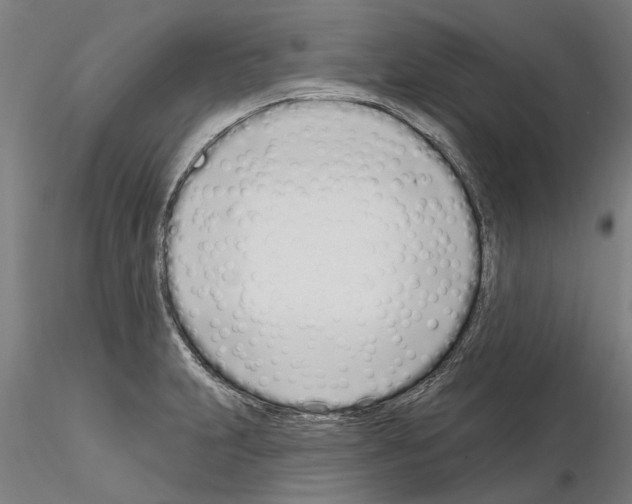 X0000115221231200912091213