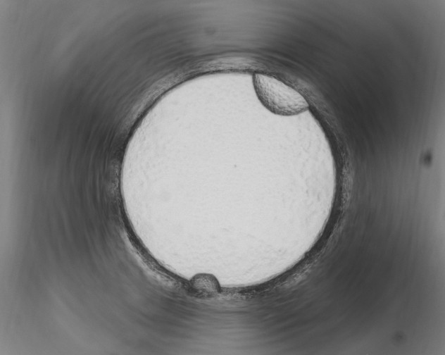 X0000115221233200912091213