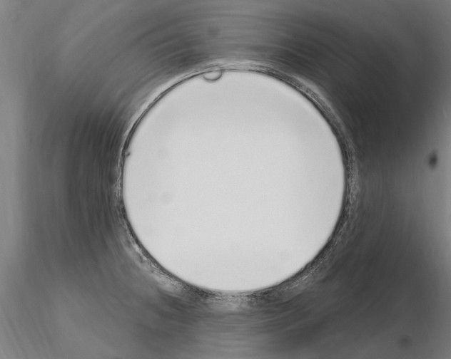 X0000115221236200912091213