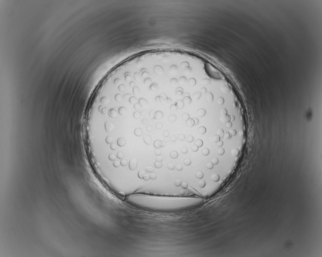 X0000115221239200912091213