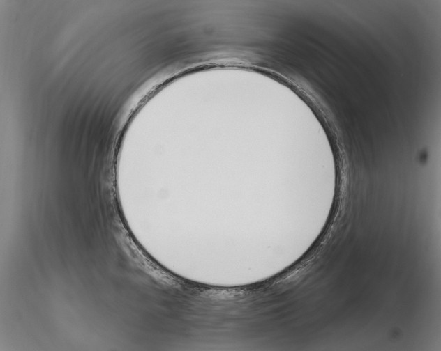 X0000115221240200912091213