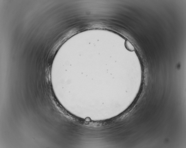 X0000115221241200912091213