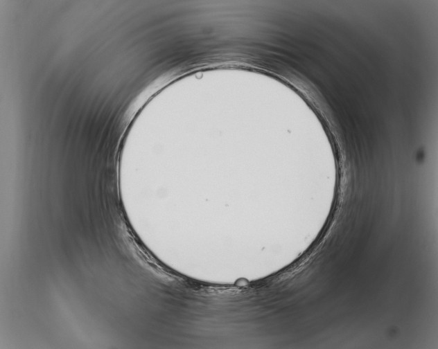 X0000115221242200912091213