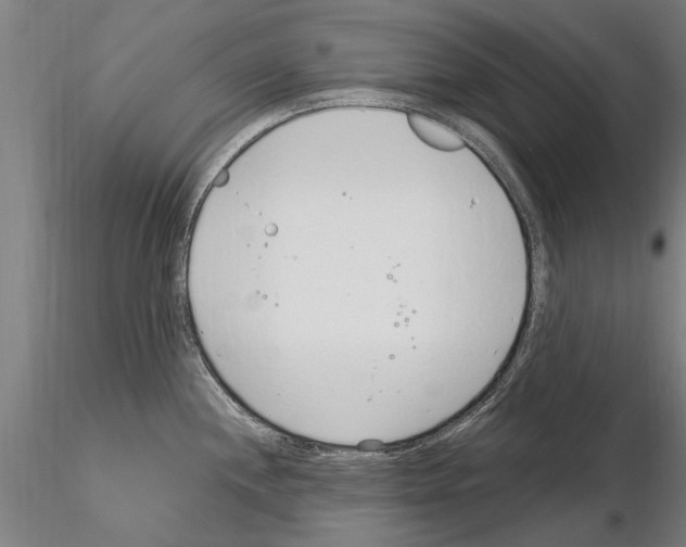 X0000115221244200912091213