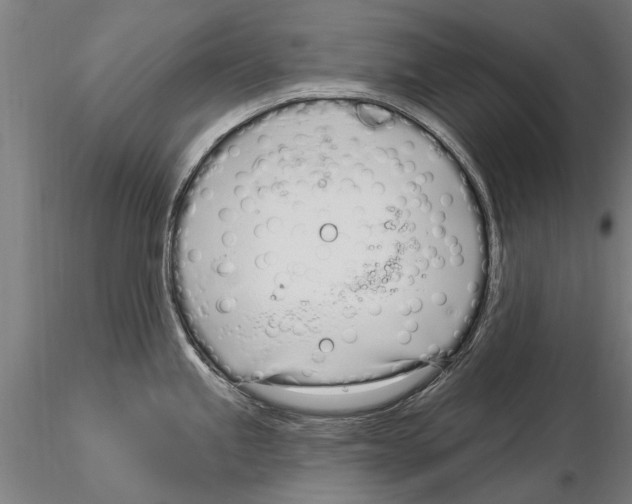 X0000115221245200912091213