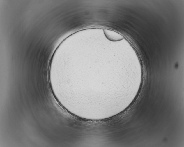 X0000115221246200912091213