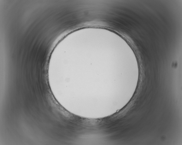 X0000115221248200912091213