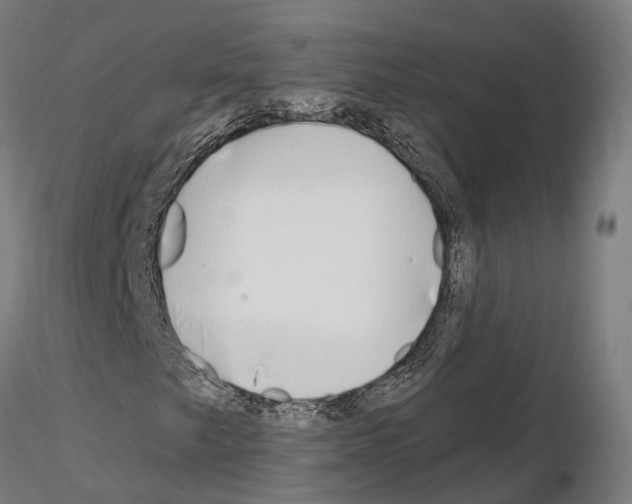 X0000115221249200912091213