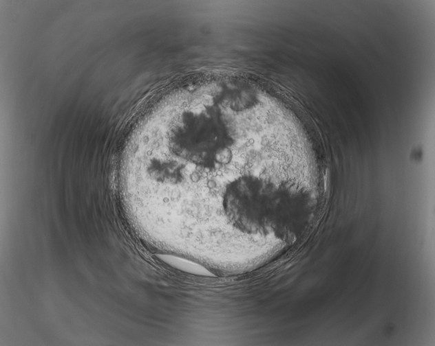 X0000115221251200912091213