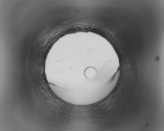 X0000115221253200912091213