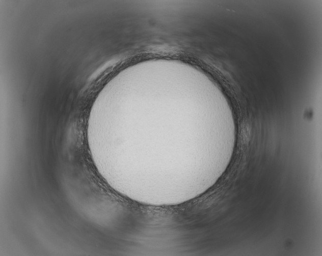 X0000115221254200912091213