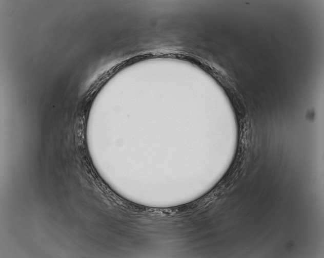 X0000115221255200912091213