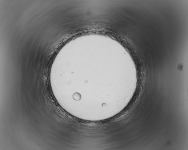 X0000115221257200912091213