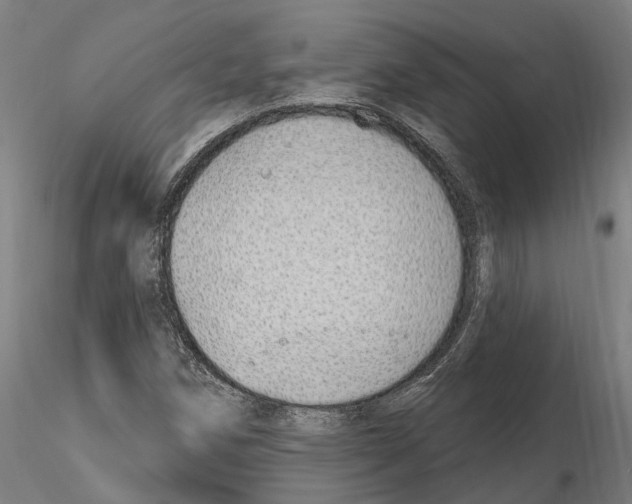 X0000115221258200912091213