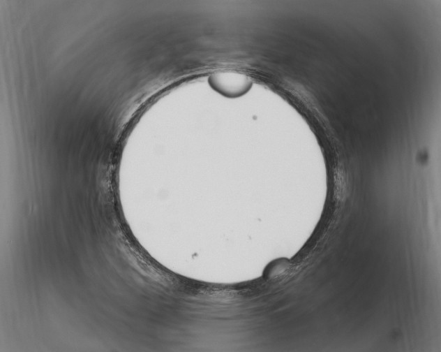 X0000115221260200912091213