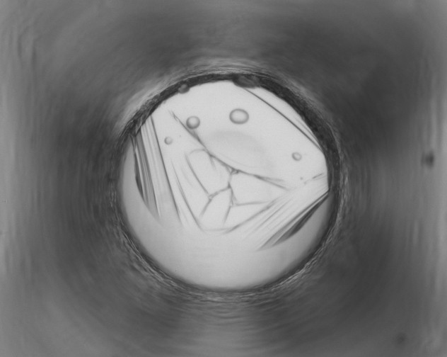 X0000115221261200912091213