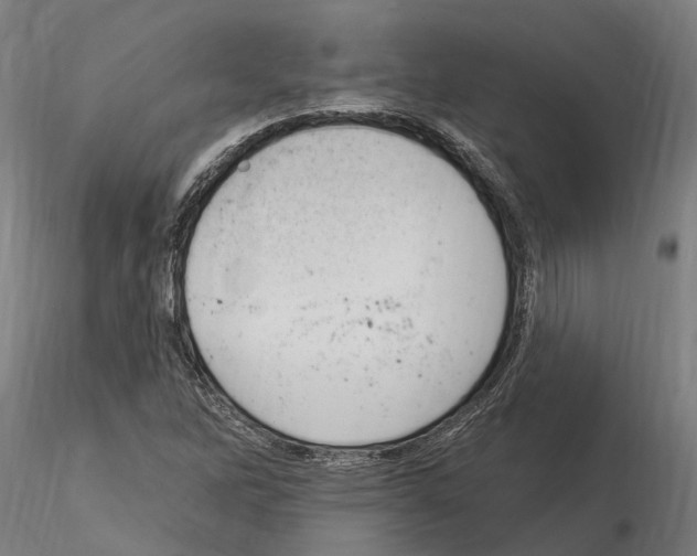 X0000115221262200912091213