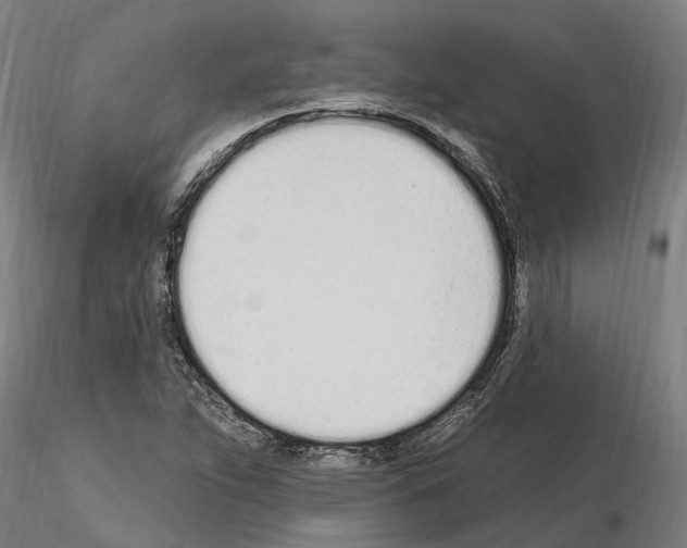 X0000115221263200912091213
