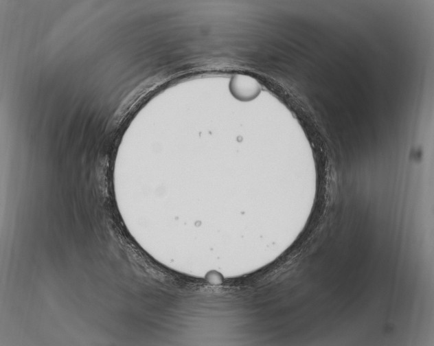 X0000115221265200912091213