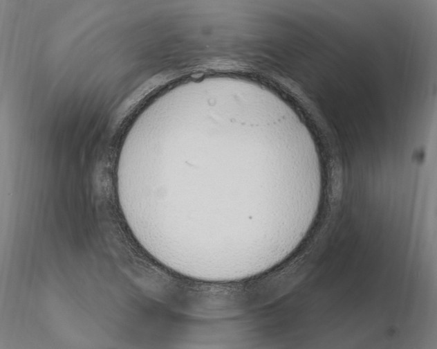 X0000115221266200912091213