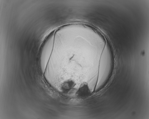 X0000115221267200912091213