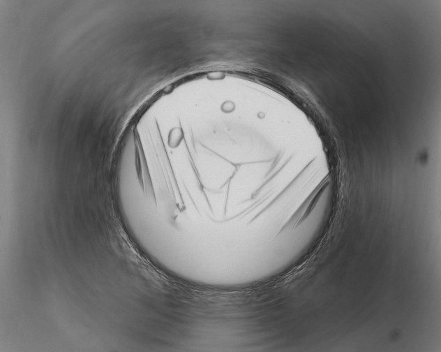 X0000115221268200912091213