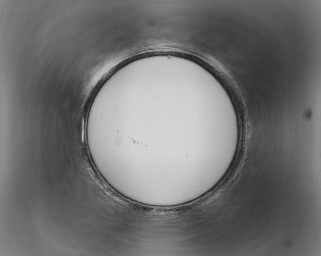 X0000115221269200912091213