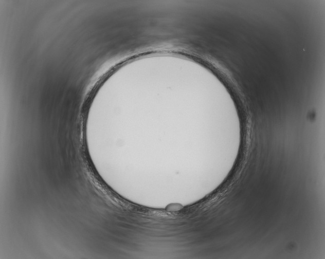 X0000115221270200912091213