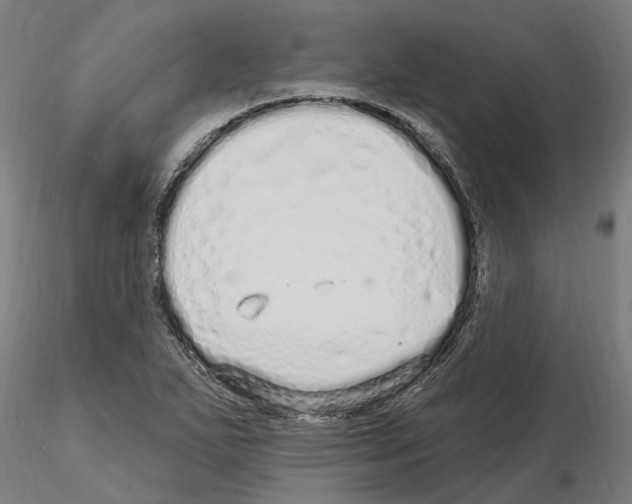 X0000115221271200912091212