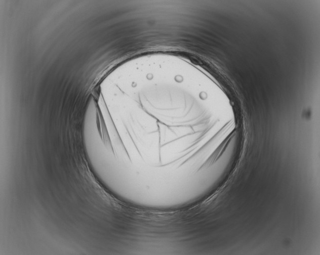 X0000115221273200912091212