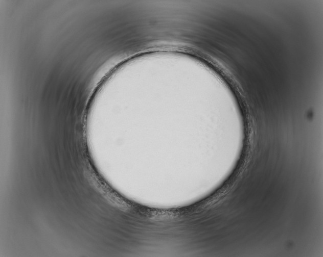 X0000115221275200912091212