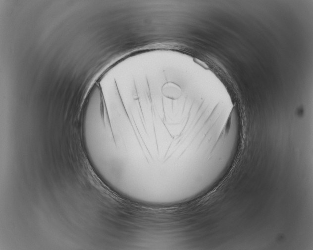 X0000115221276200912091212