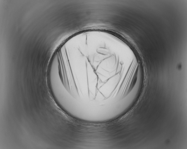 X0000115221277200912091212