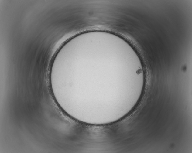 X0000115221278200912091212