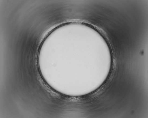 X0000115221279200912091212
