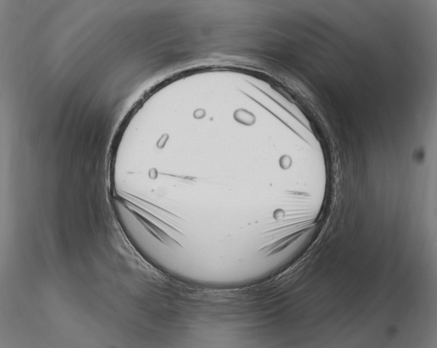 X0000115221280200912091212